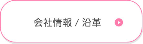 会社情報/沿革